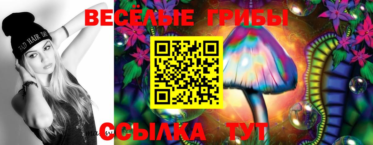 Псилоцибиновые грибы Psilocybe Белебей